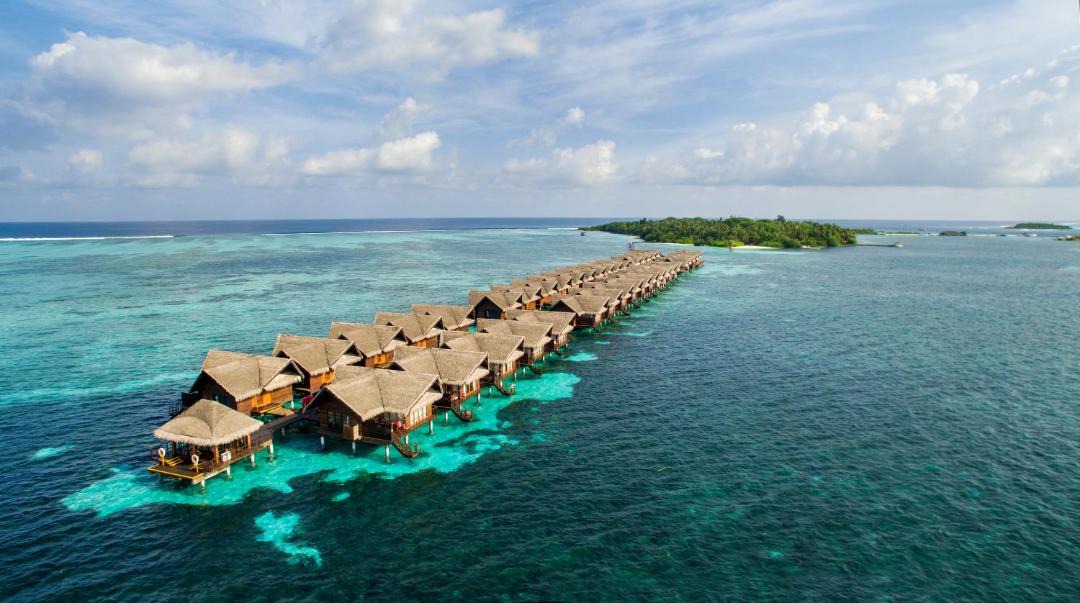 Photo of Others in Lhohifushi