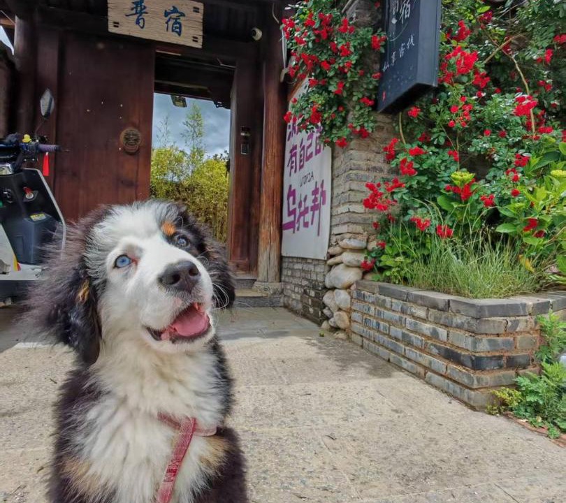 Photo of Others in Lijiang