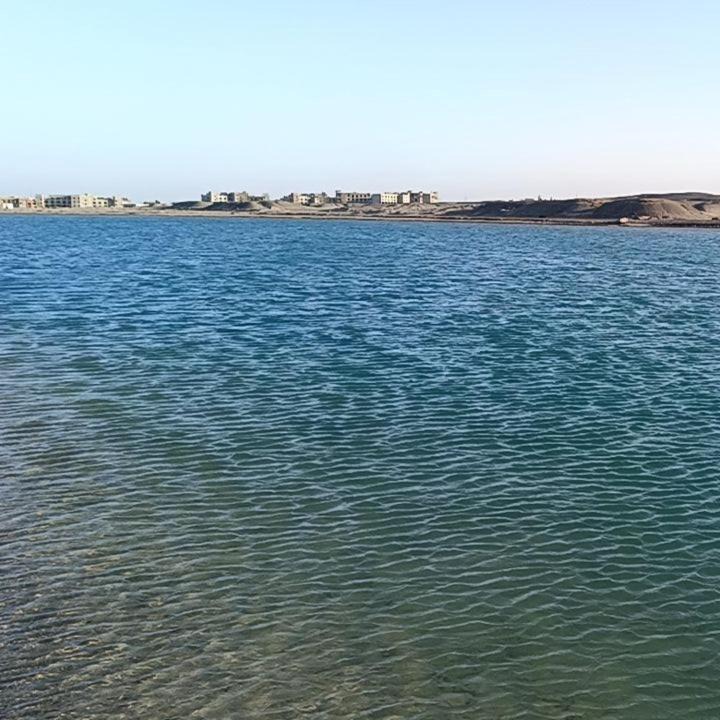 Photo of Others in Marsa Alam