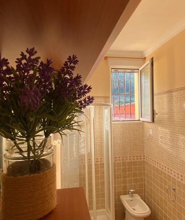Photo of Bathroom in Alzira