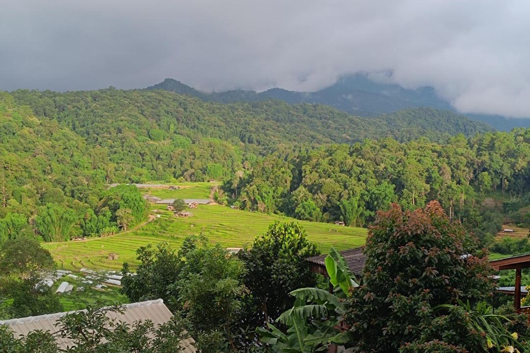 Photo of Others in Doi Lo