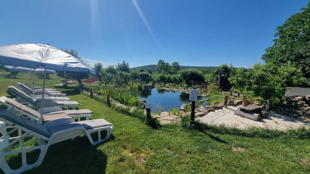 Photo of Others in Vezenkovo
