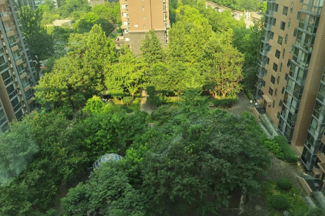Photo of Others in Shuangjing