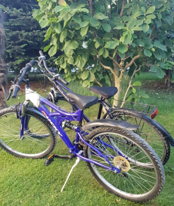 Photo of Others in Shkoder