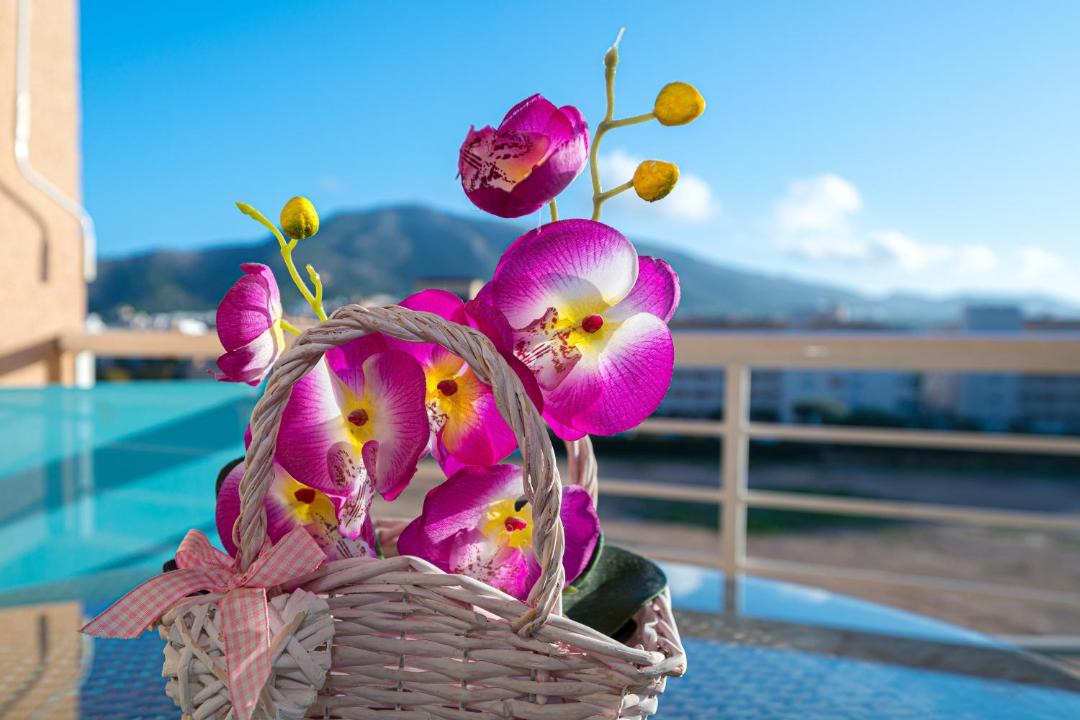 Photo of Patio Balcony in El Albir