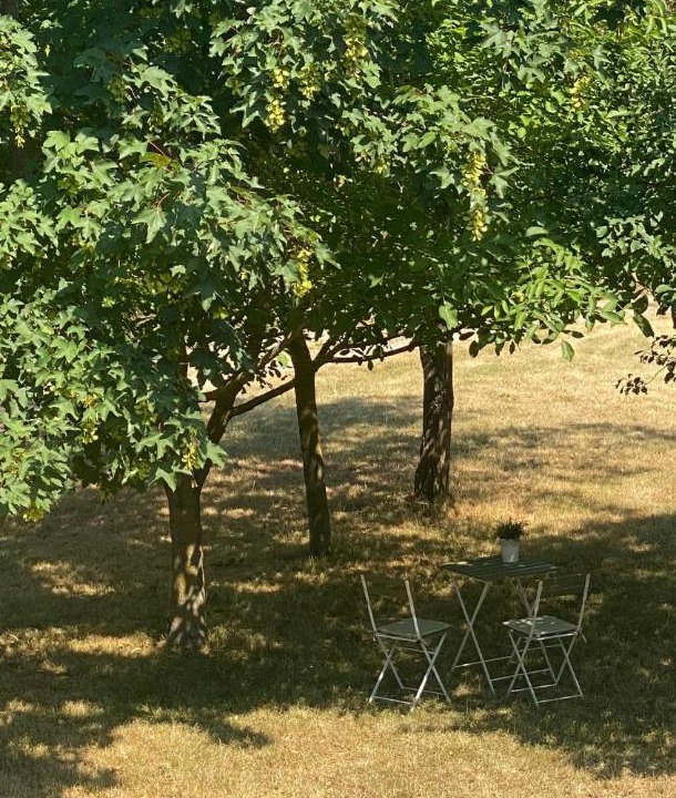 Photo of Others in Szentkiralyszabadja