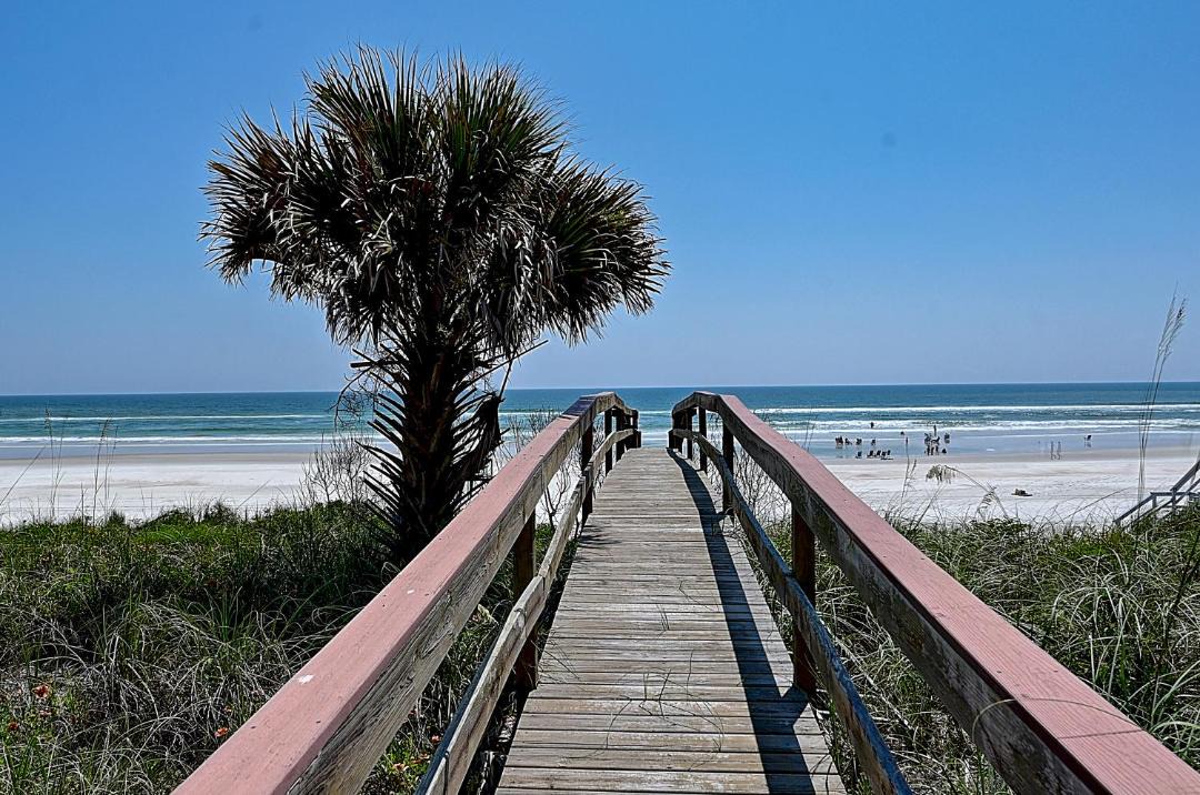 Photo of Others in Crescent Beach