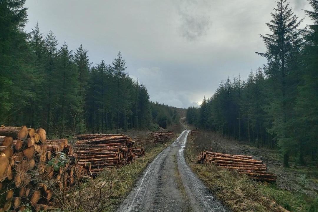 Photo of Others in County Laois