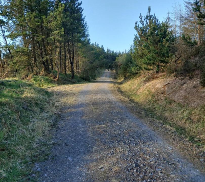 Photo of Others in County Laois