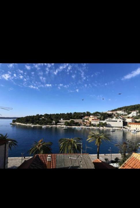 Photo of Others in Hvar Old Town