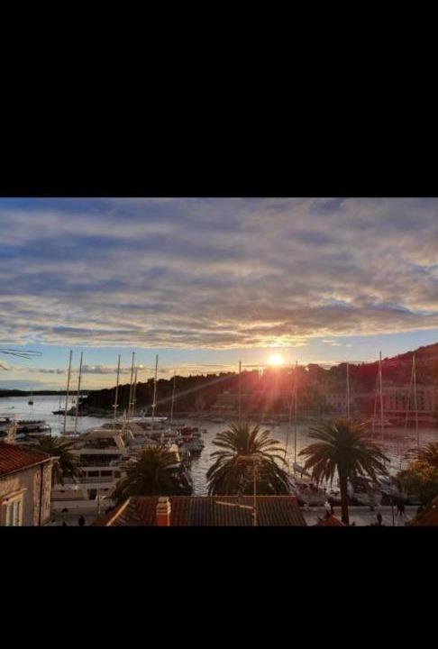 Photo of Others in Hvar Old Town