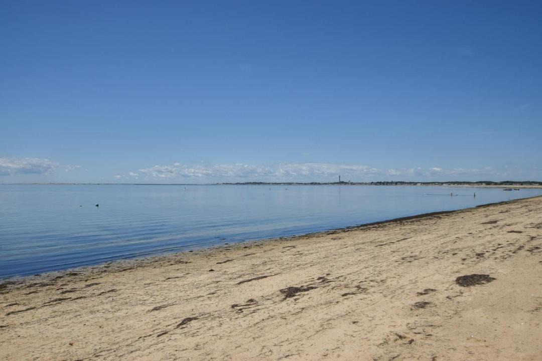Photo of Others in North Truro