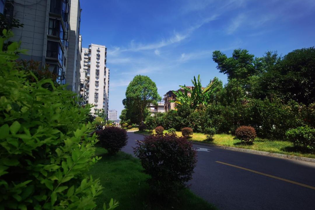 Photo of Others in Yongding