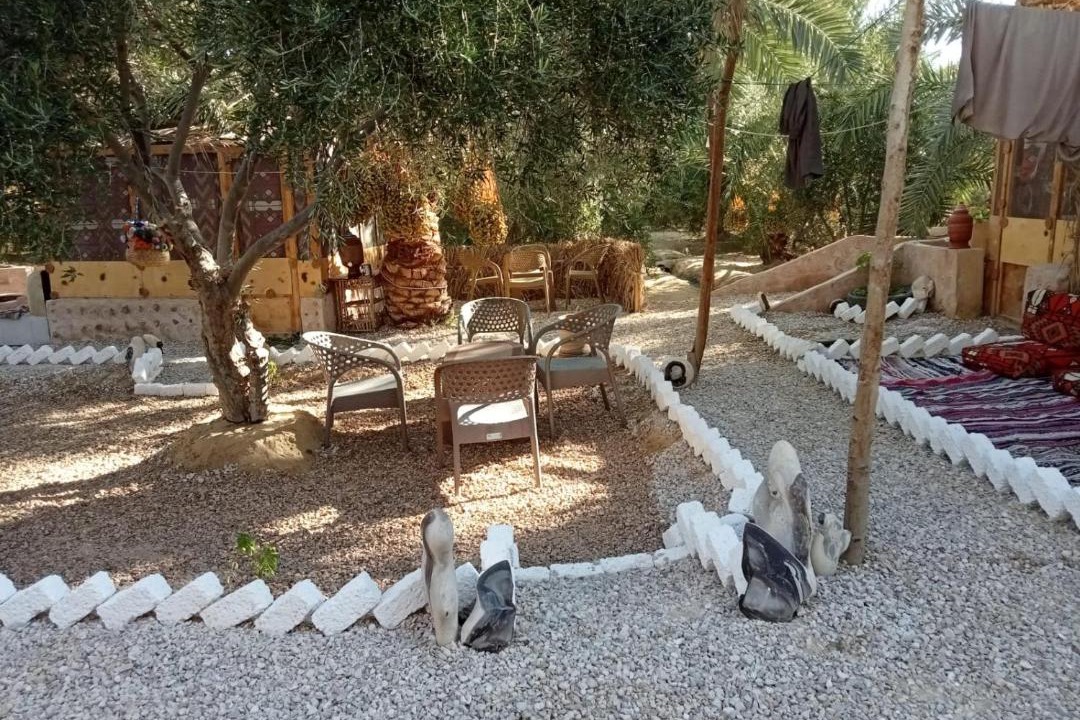 Photo of Others in Siwa