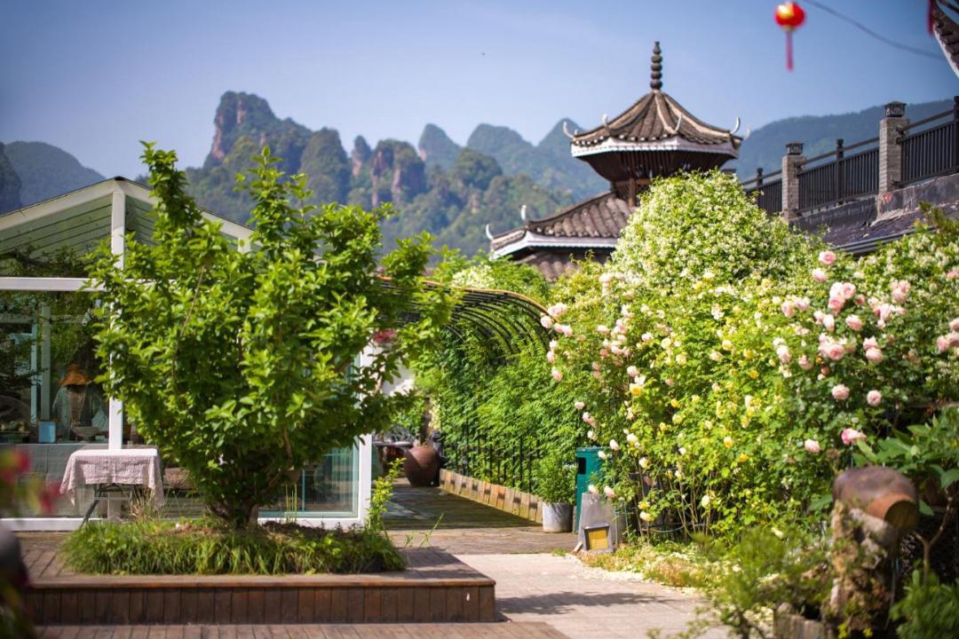 Photo of Others in Wulingyuan
