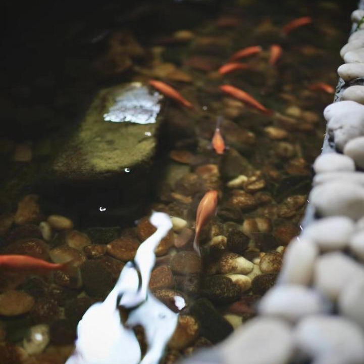 Photo of Others in Xiangxi