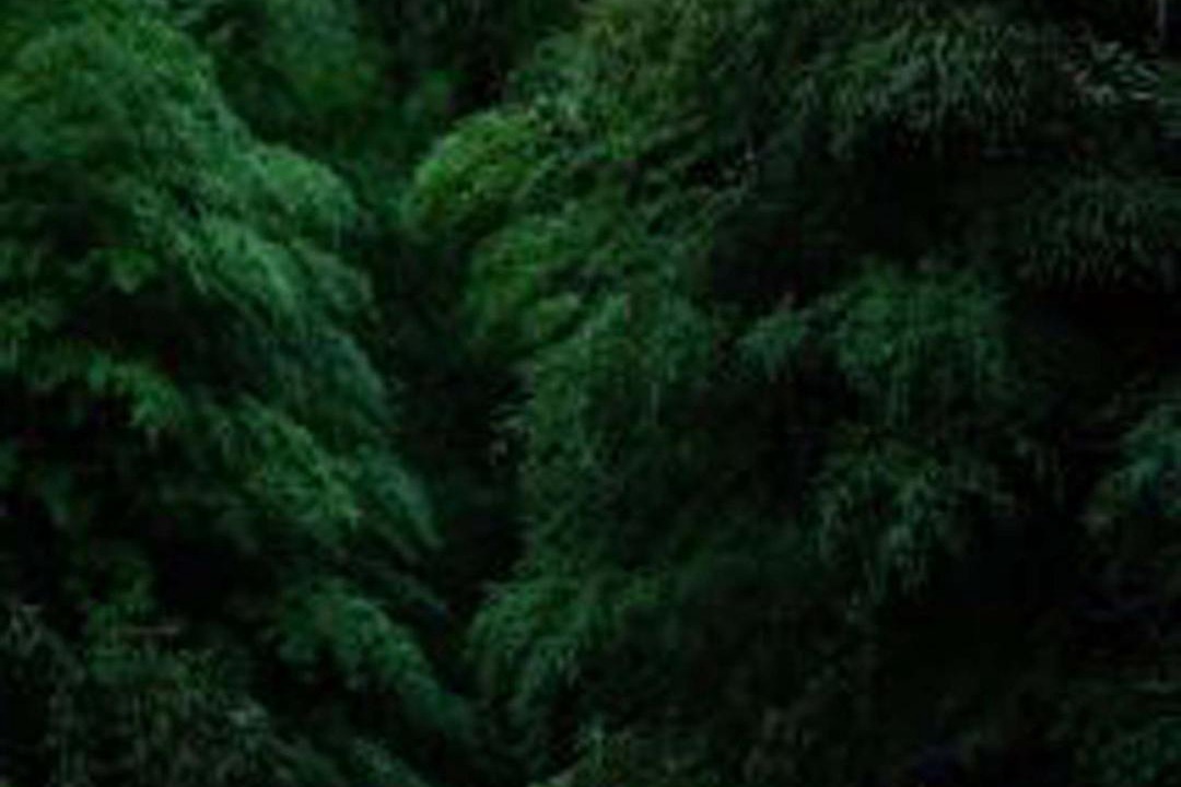 Photo of Others in Anji
