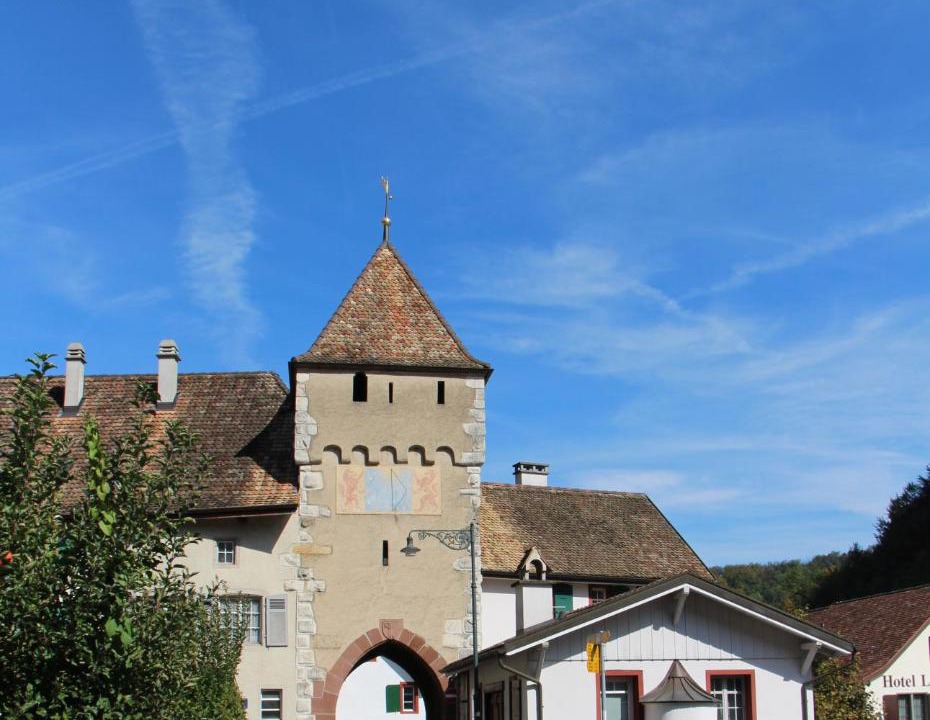 Photo of Buildings in Waldenburg