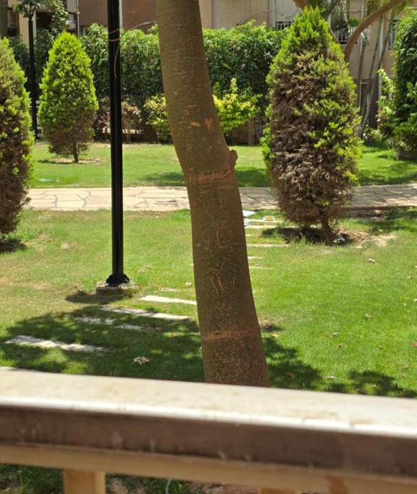 Photo of Outdoor in Madinaty