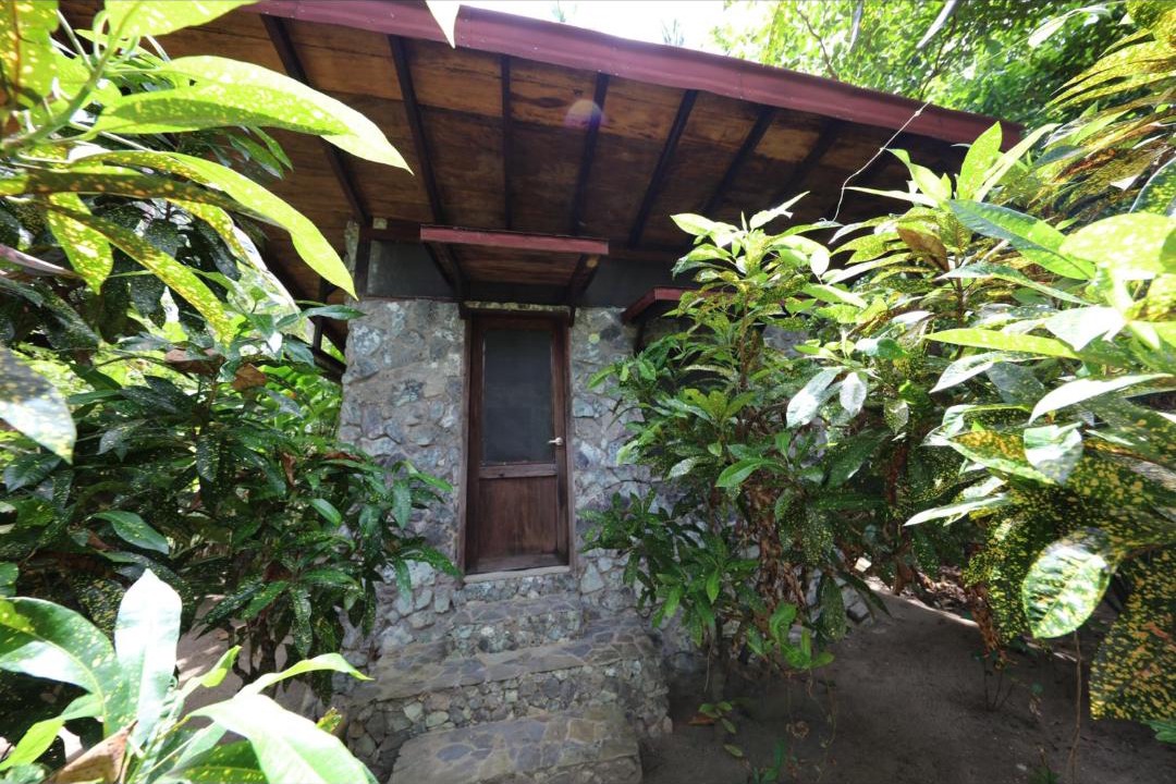 Photo of Others in Puerto Princesa