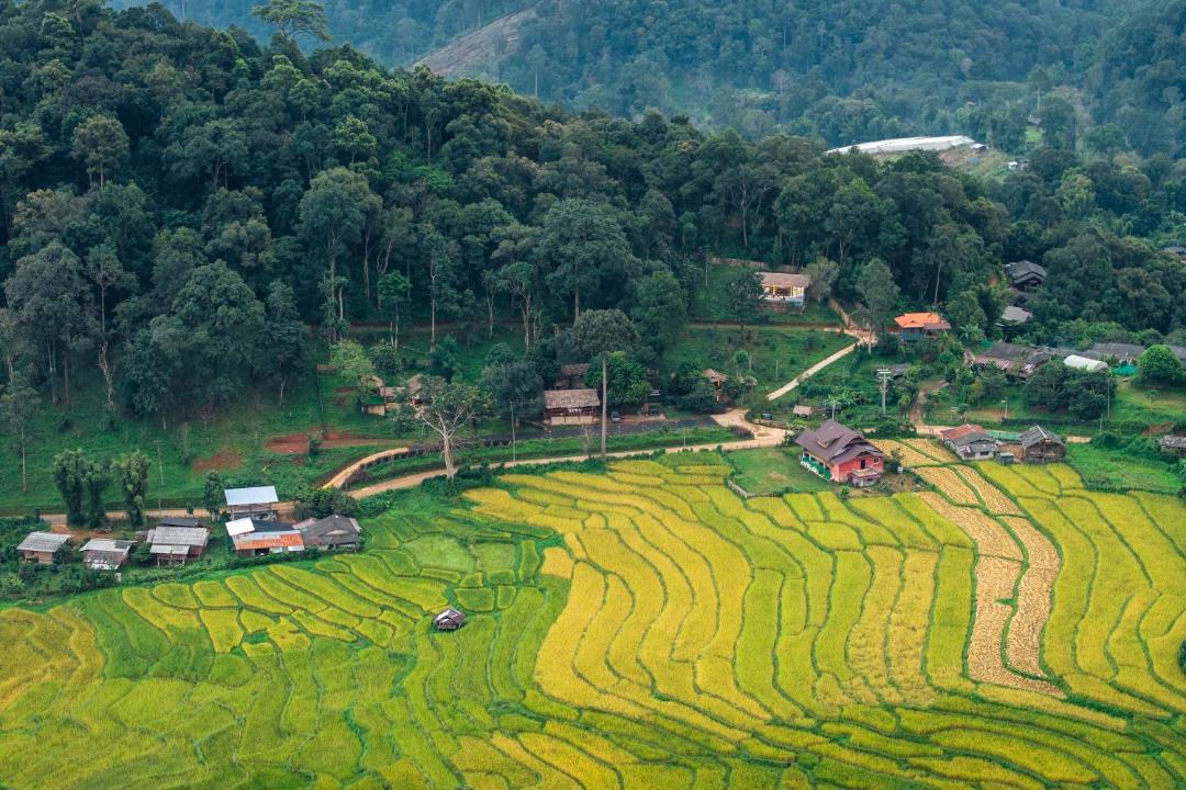 Photo of Others in Pa Pae