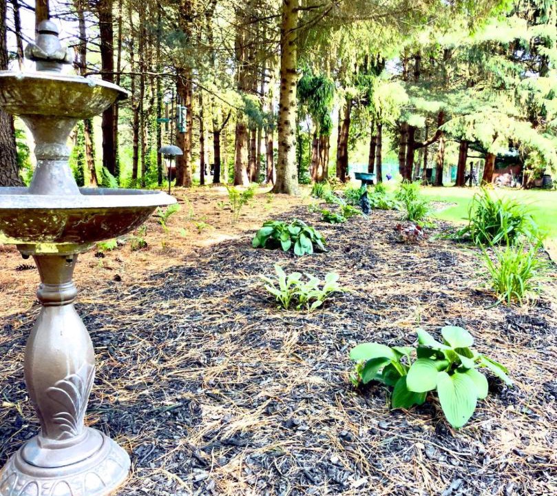 Photo of Outdoor in Saint Joseph