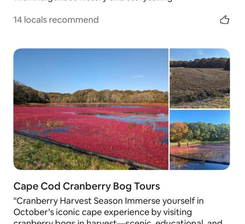 Photo of Others in New Seabury