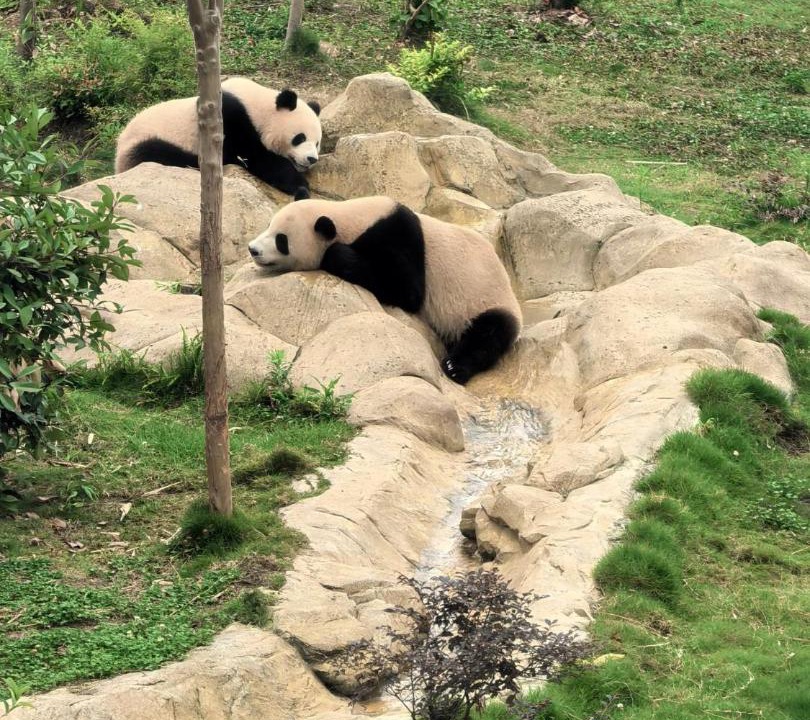 Photo of Others in Jianyang