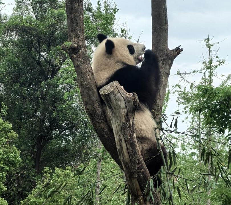 Photo of Others in Jianyang