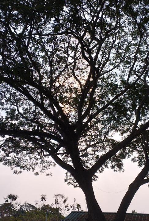 Photo of Outdoor in Nong Chaeng