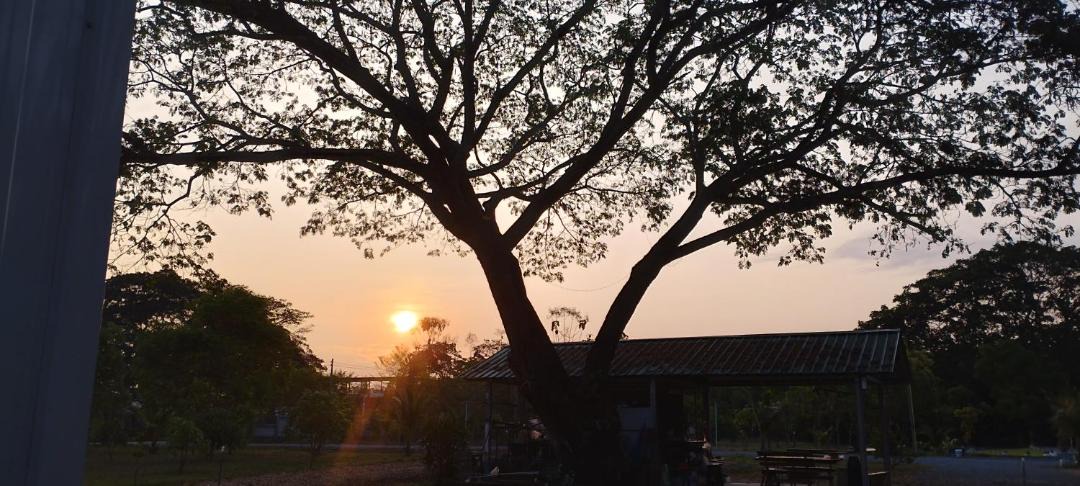 Photo of Others in Nong Chaeng