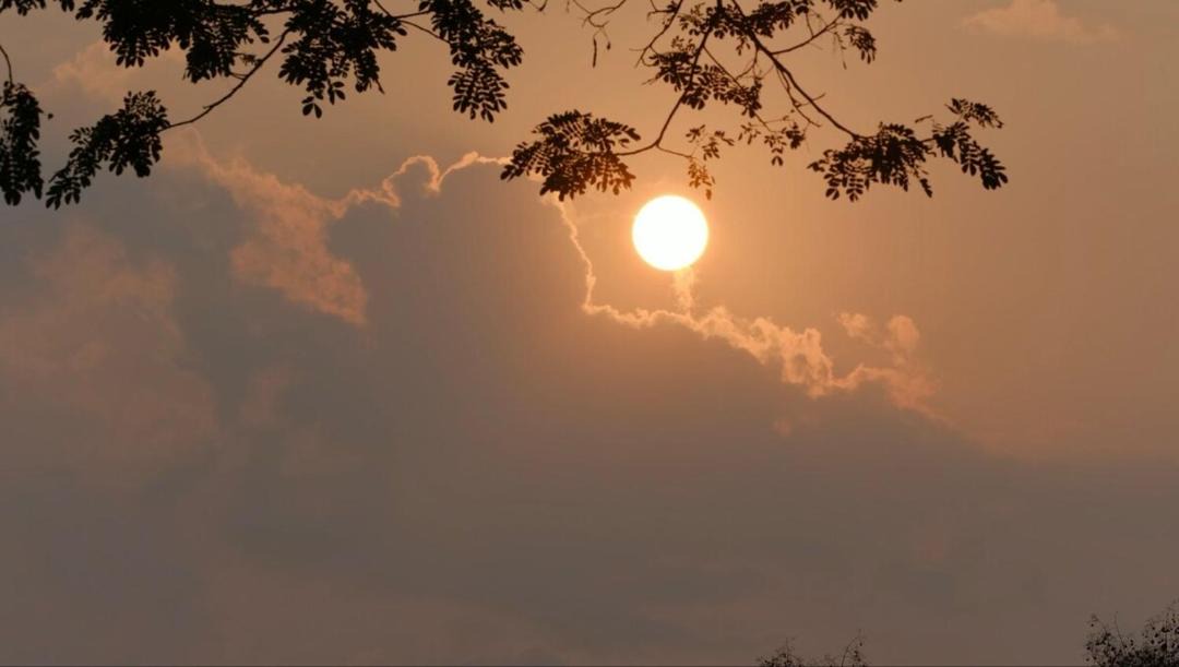 Photo of Others in Nong Chaeng