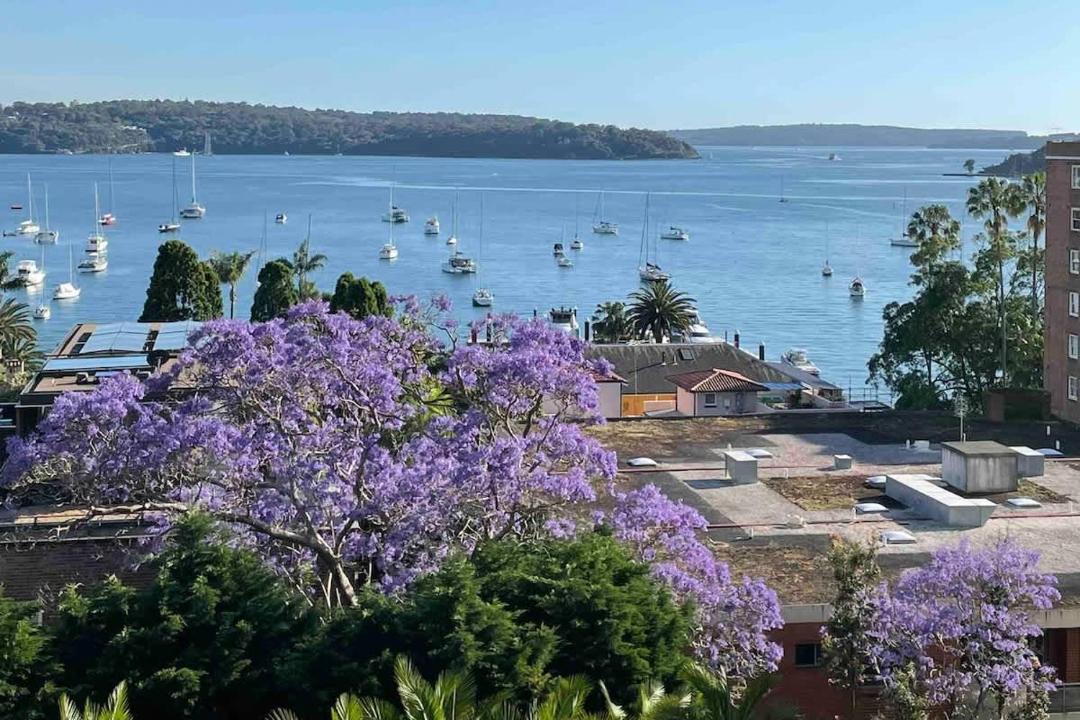 Photo of Others in Elizabeth Bay