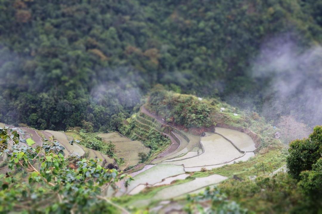 Photo of Others in Batad