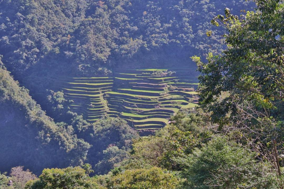 Photo of Others in Batad