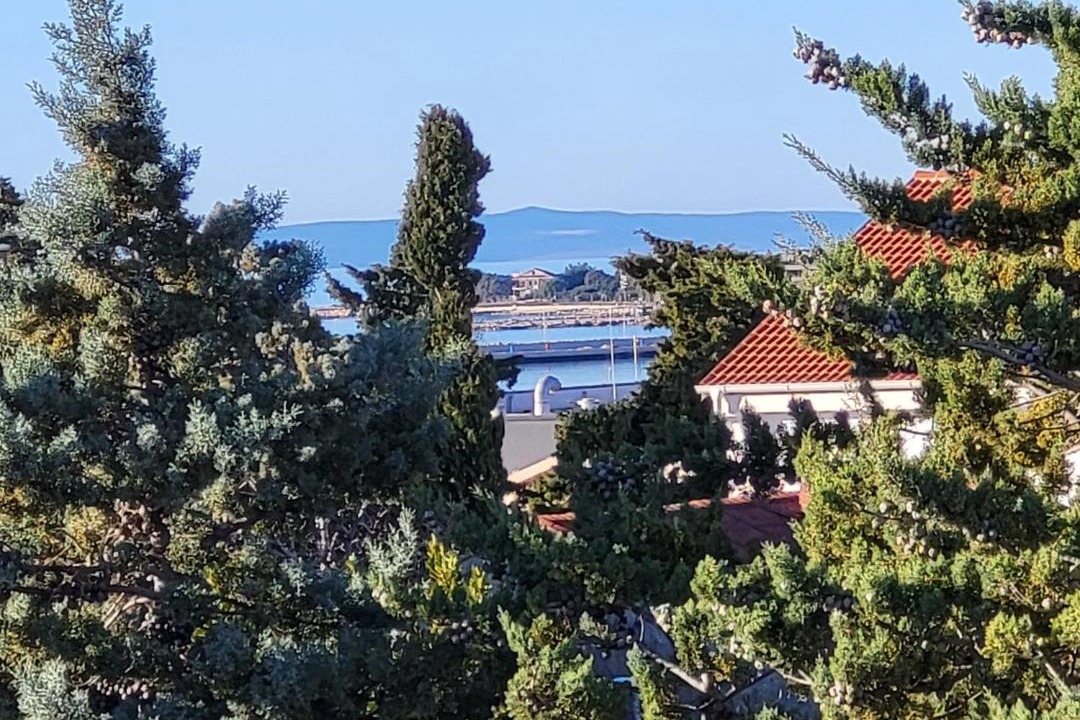 Photo of Others in Zrce