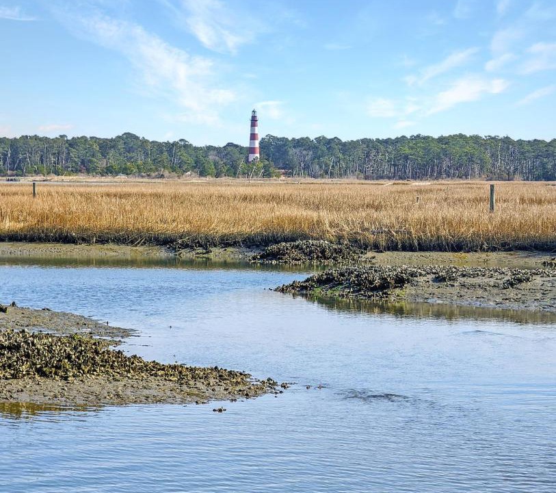 Photo of Others in Chincoteague