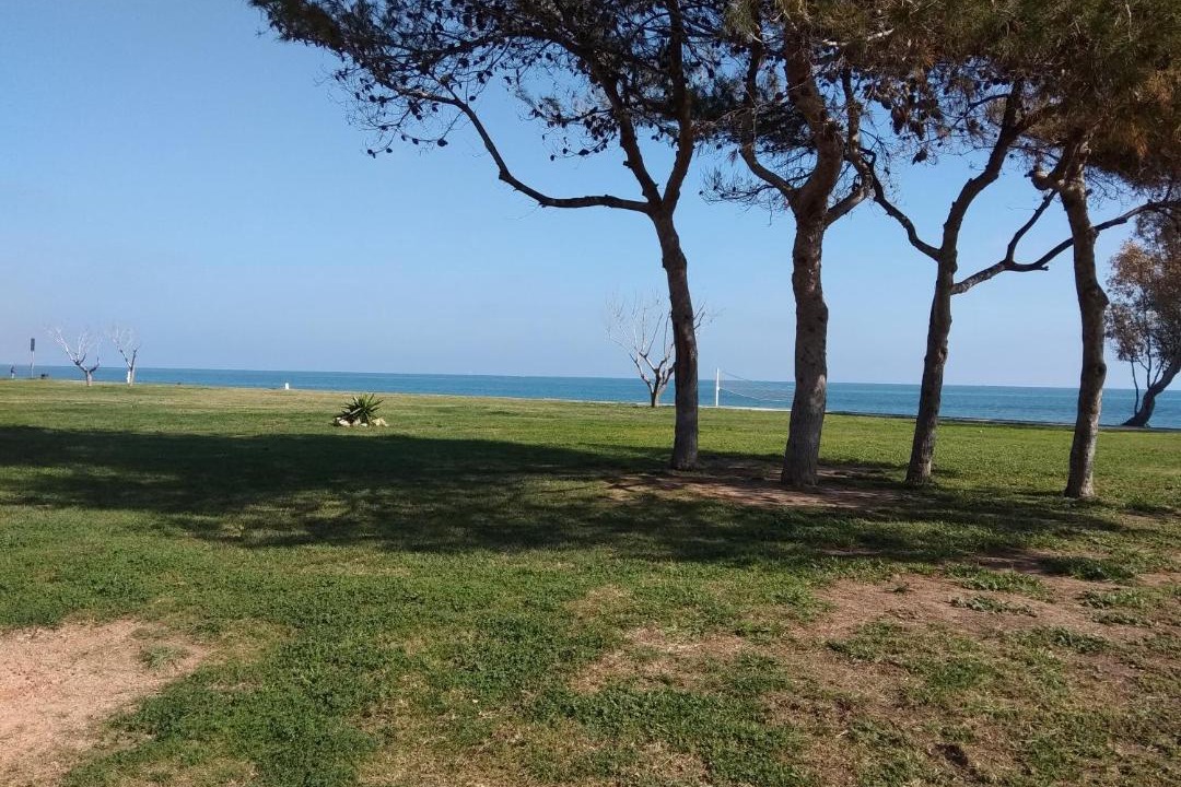Photo of Others in Marina d'Or