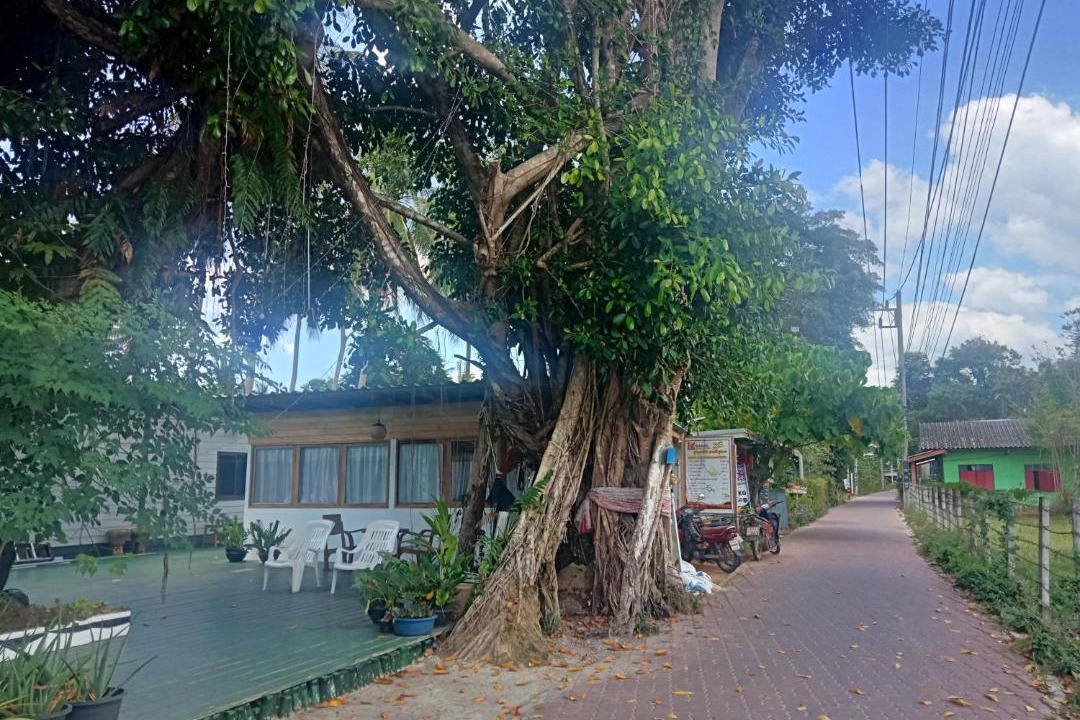 Photo of Others in Ko Mook