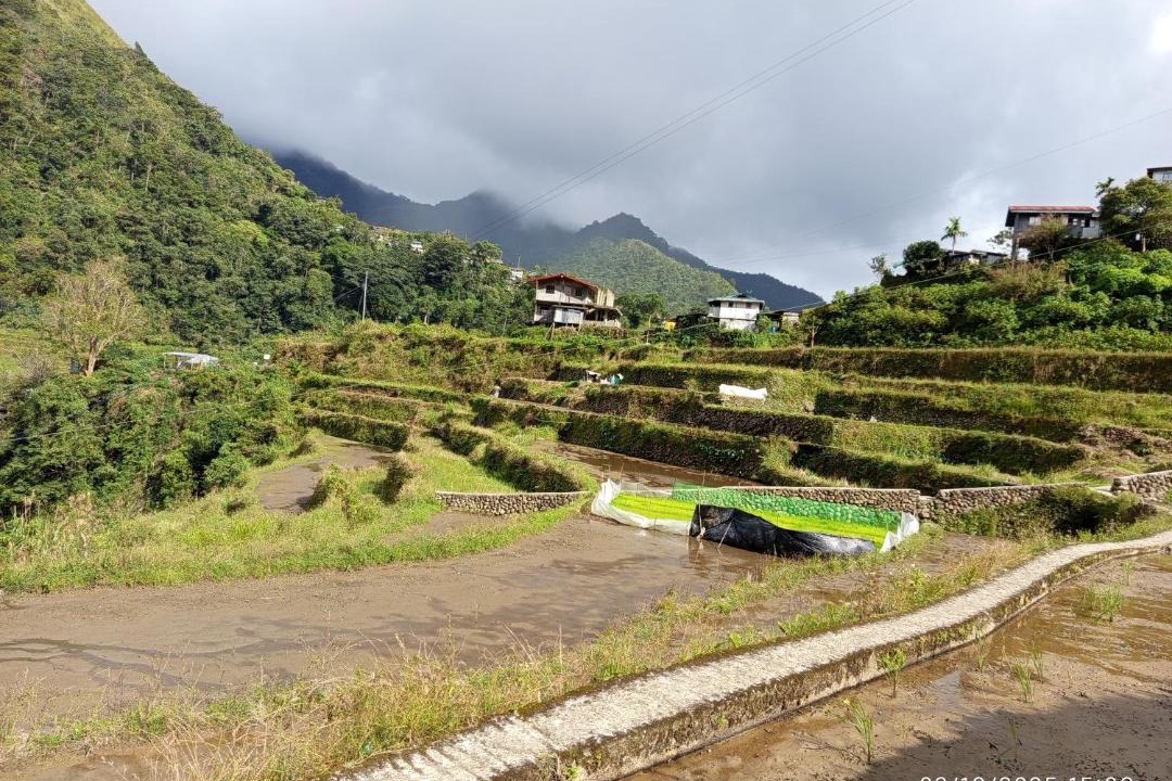 Photo of Others in Banaue