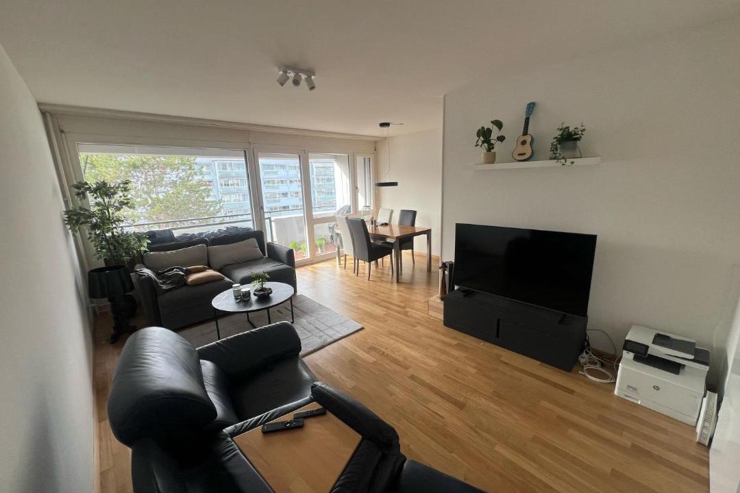 Photo of Livingroom in Gundeldingen