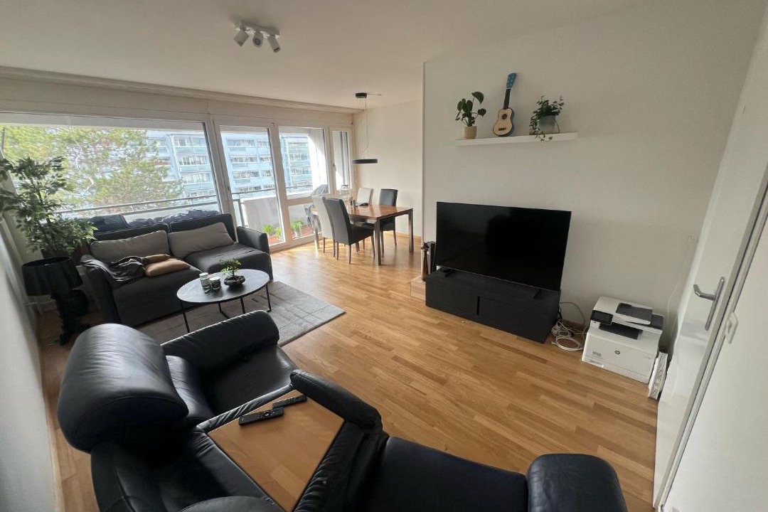 Photo of Livingroom in Gundeldingen