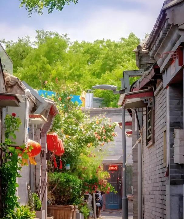 Photo of Others in Jinsong Panjiayuan