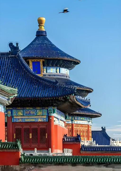 Photo of Buildings in Jinsong Panjiayuan