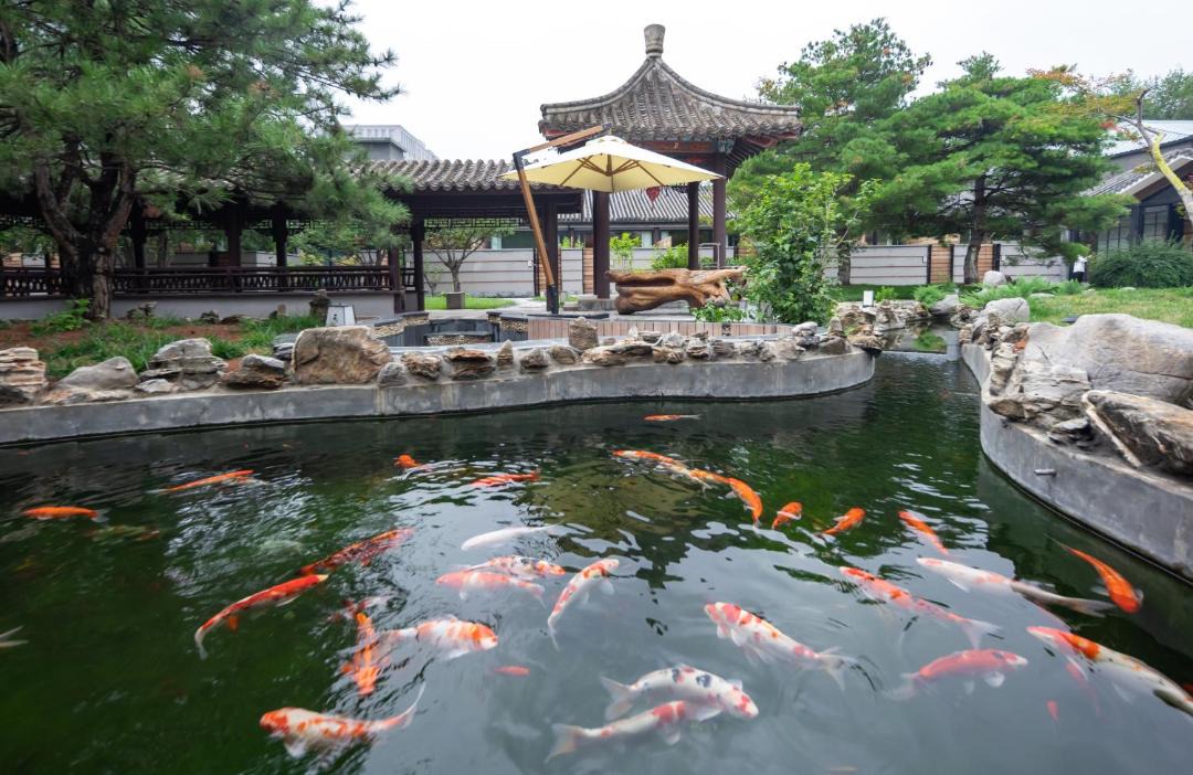 Photo of Others in Pingxifu