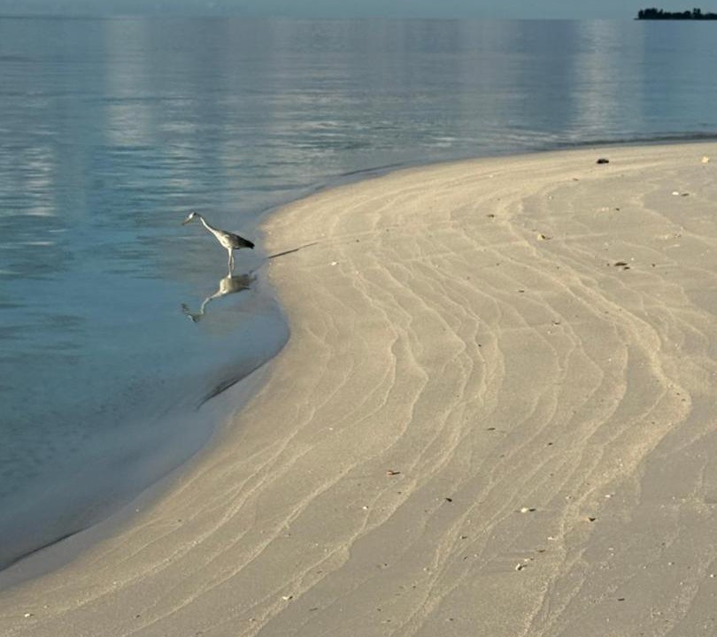 Photo of Others in Omadhoo