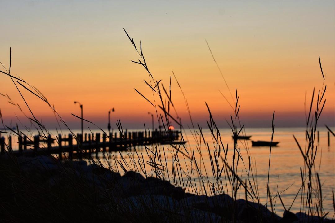 Photo of Others in Cape Charles