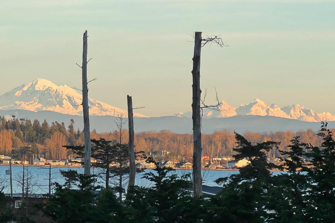 Photo of Others in Lummi Island