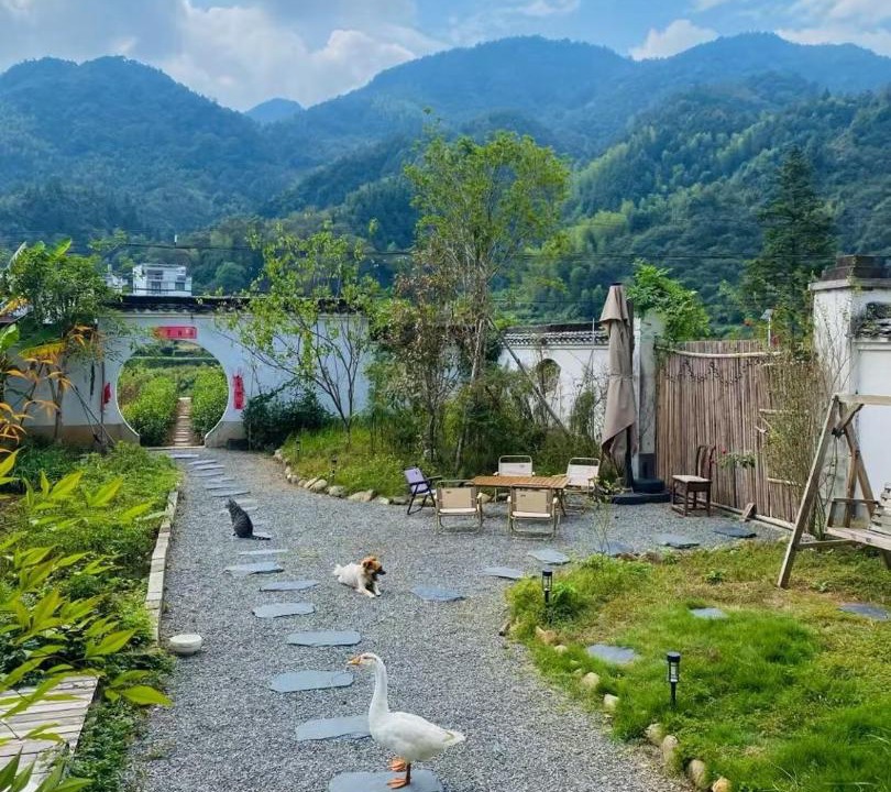 Photo of Others in Wuyuan