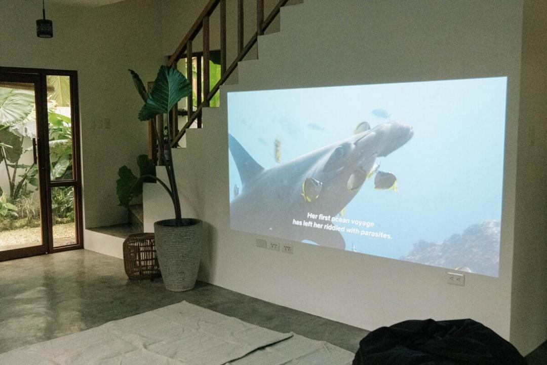 Photo of Livingroom in Dao
